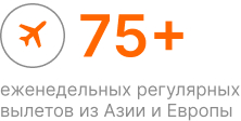 75+.jpg